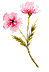 花装飾