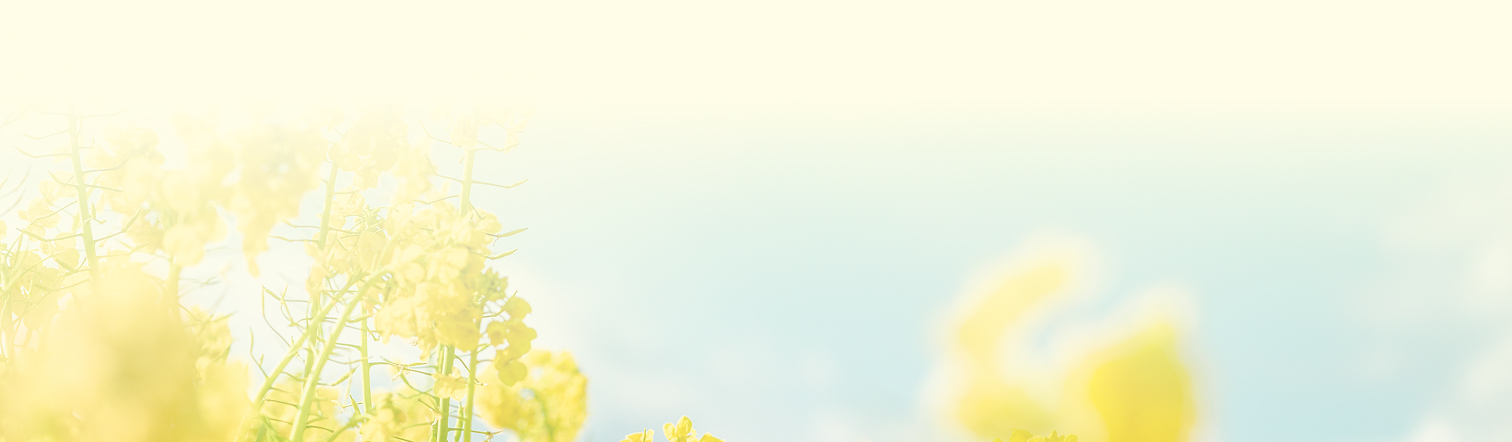 背景装飾