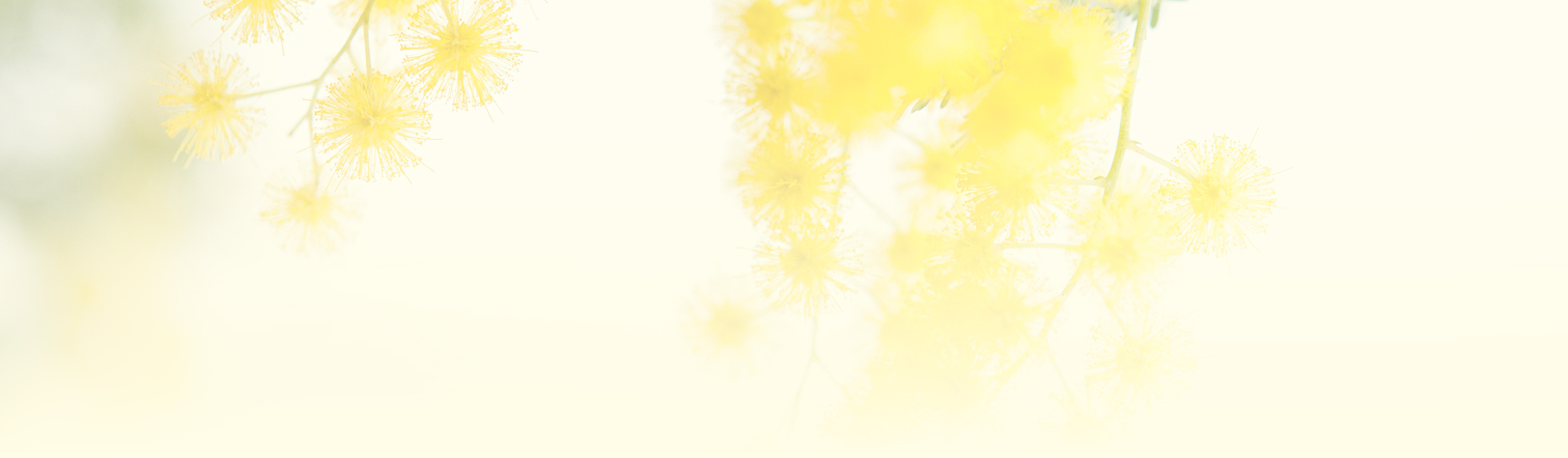 背景画像
