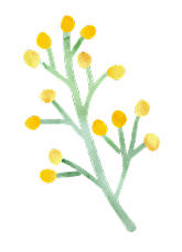 草装飾